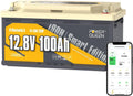 Batterie LiFePO4 12V 100Ah avec Bluetooth et Protection Température Négative pour Camping-Car